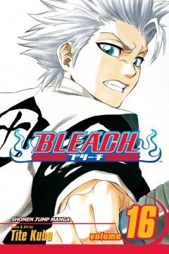 Bleach - Volume 16