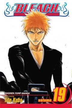 Bleach - Volume 19