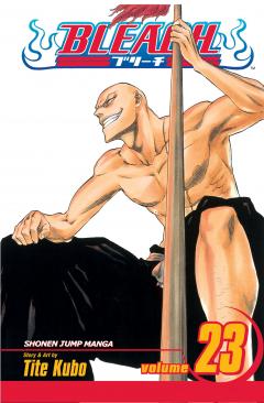 Bleach - Volume 23 