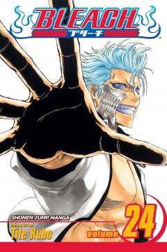 Bleach - Volume 24 