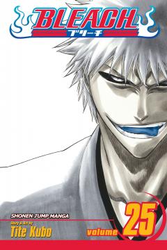 Bleach - Volume 25 