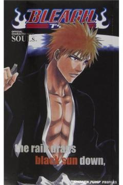 Bleach SOULs - Official Character Data Book Vol. 1