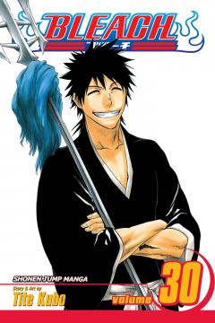 Bleach - Volume 30 