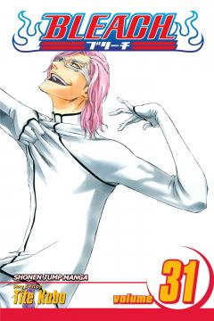 Bleach - Volume 31 