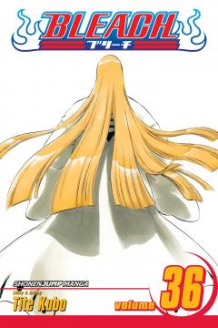 Bleach - Volume 36 