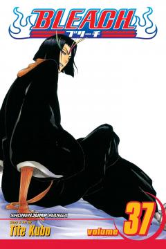 Bleach - Volume 37 