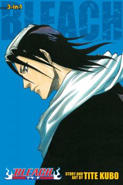 Bleach (3-in-1 Edition) - Volume 3 