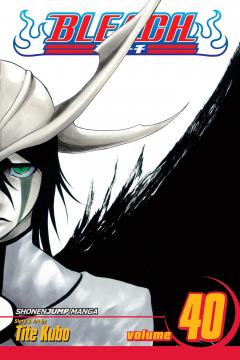 Bleach - Volume 40 