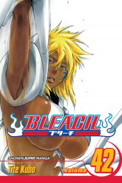 Bleach - Volume 42 