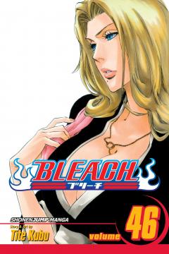 Bleach - Volume 46 