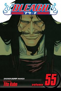 Bleach - Volume 55 