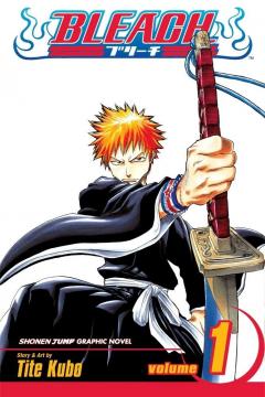 Bleach - Volume 1