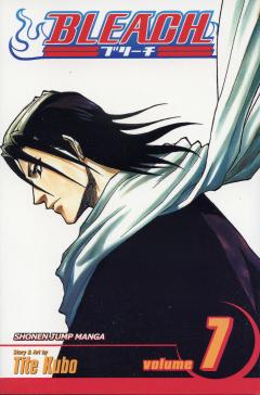 Bleach - Volume 7 