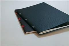 Set 2 caiete Circulo