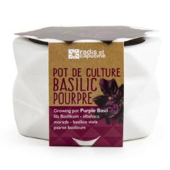 Kit complet pentru plantat - Busuioc