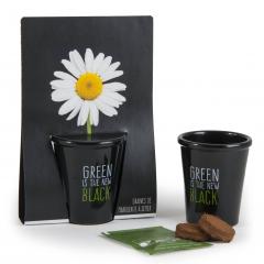 Kit pentru plantat cu seminte de margareta - Green is the New Black