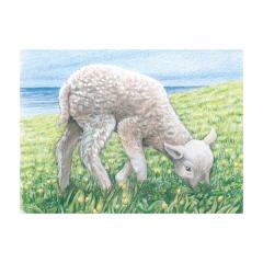 Puzzle - Cuburi animale ferma