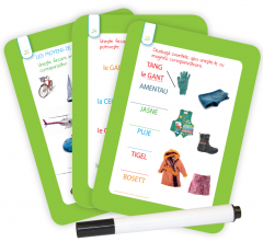 Limba Franceza. Debutant. Linguo