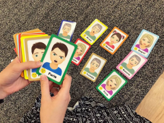 Emotiile si familia mea - Carti de joc