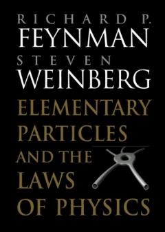 Elementary Particles and the Laws of Physics