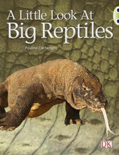 BC NF Blue (KS1) B/1B A Little Look at Big Reptiles