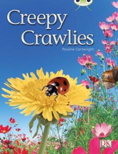 BC NF Green B/1B Creepy Crawlies