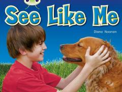 BC NF Red A (KS1) See Like Me