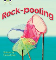 Rock-Pooling