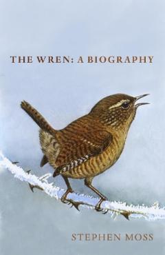 Coperta cărții Wren