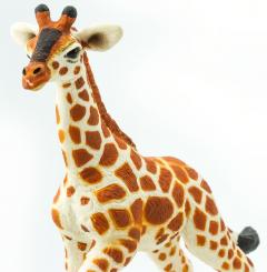 Figurina - Baby Giraffe
