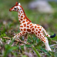 Figurina - Baby Giraffe