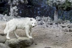 Figurina - White Wolf