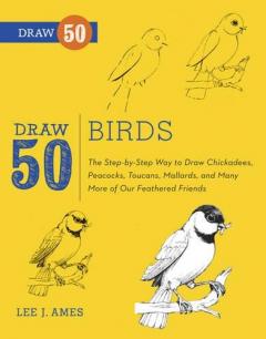 Draw 50 Birds