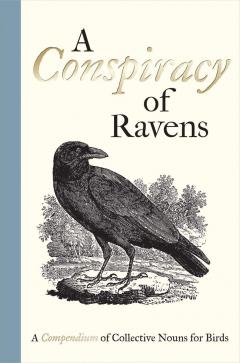 Coperta cărții A Conspiracy of Ravens