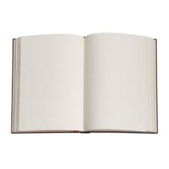 Jurnal - Midi, Unlined - Klimt`s 100th Anniversary - The Kiss