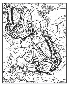 Creative Haven Butterflies Color by Number Coloring Book