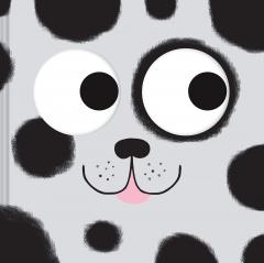 Catch Me: A Seek-and-Find Book