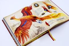 Harry Potter and the Chamber of Secrets