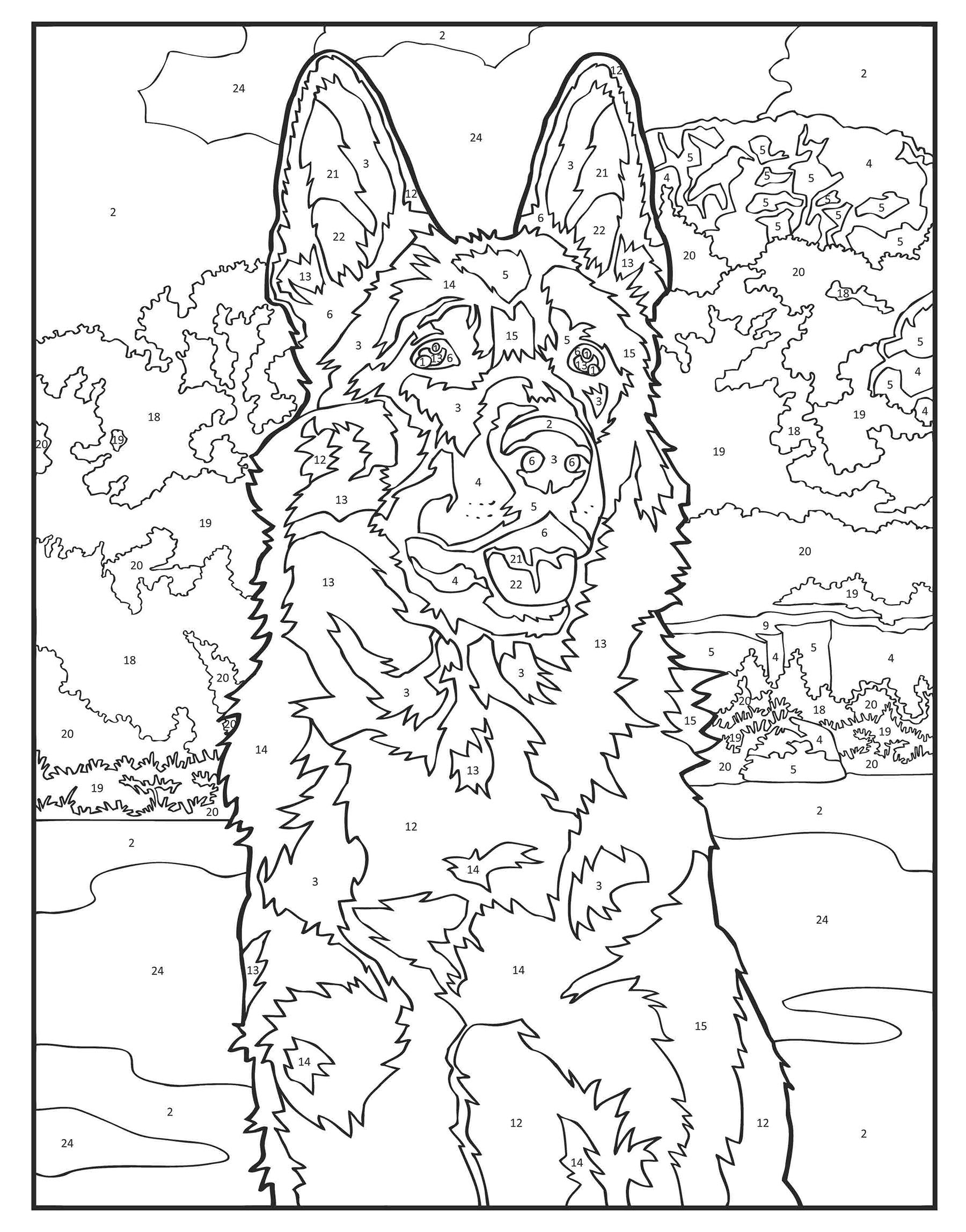 dogs-color-by-number-coloring-book