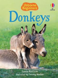 Coperta cărții Beginners Donkeys