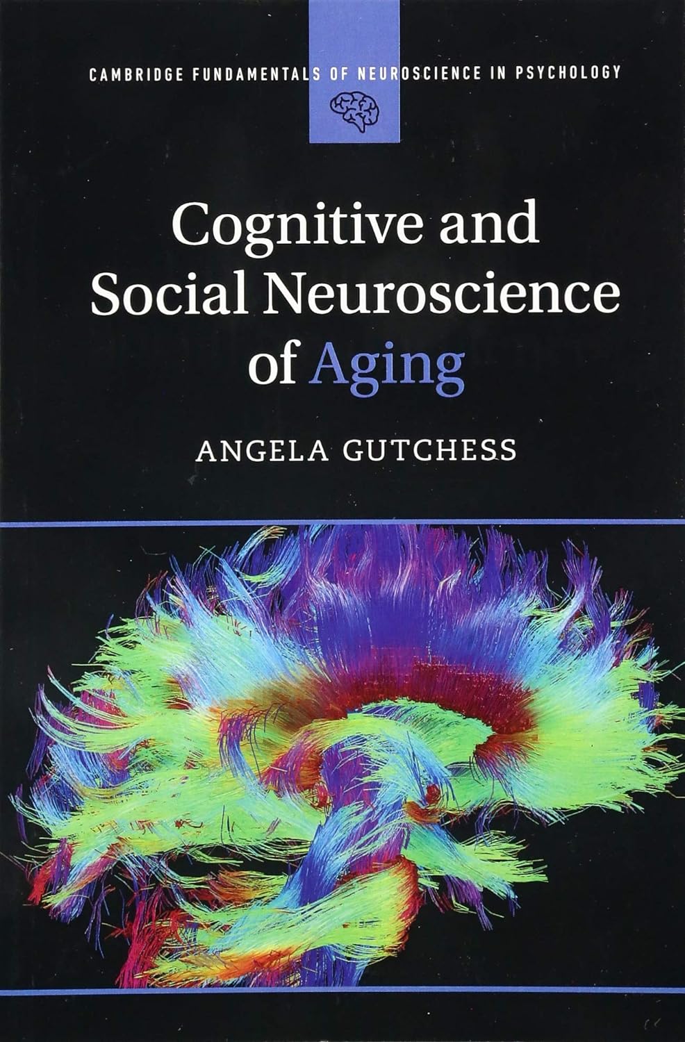 Cognitive and Social Neuroscience of Aging - Angela Gutchess