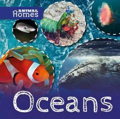 Coperta cărții Oceans