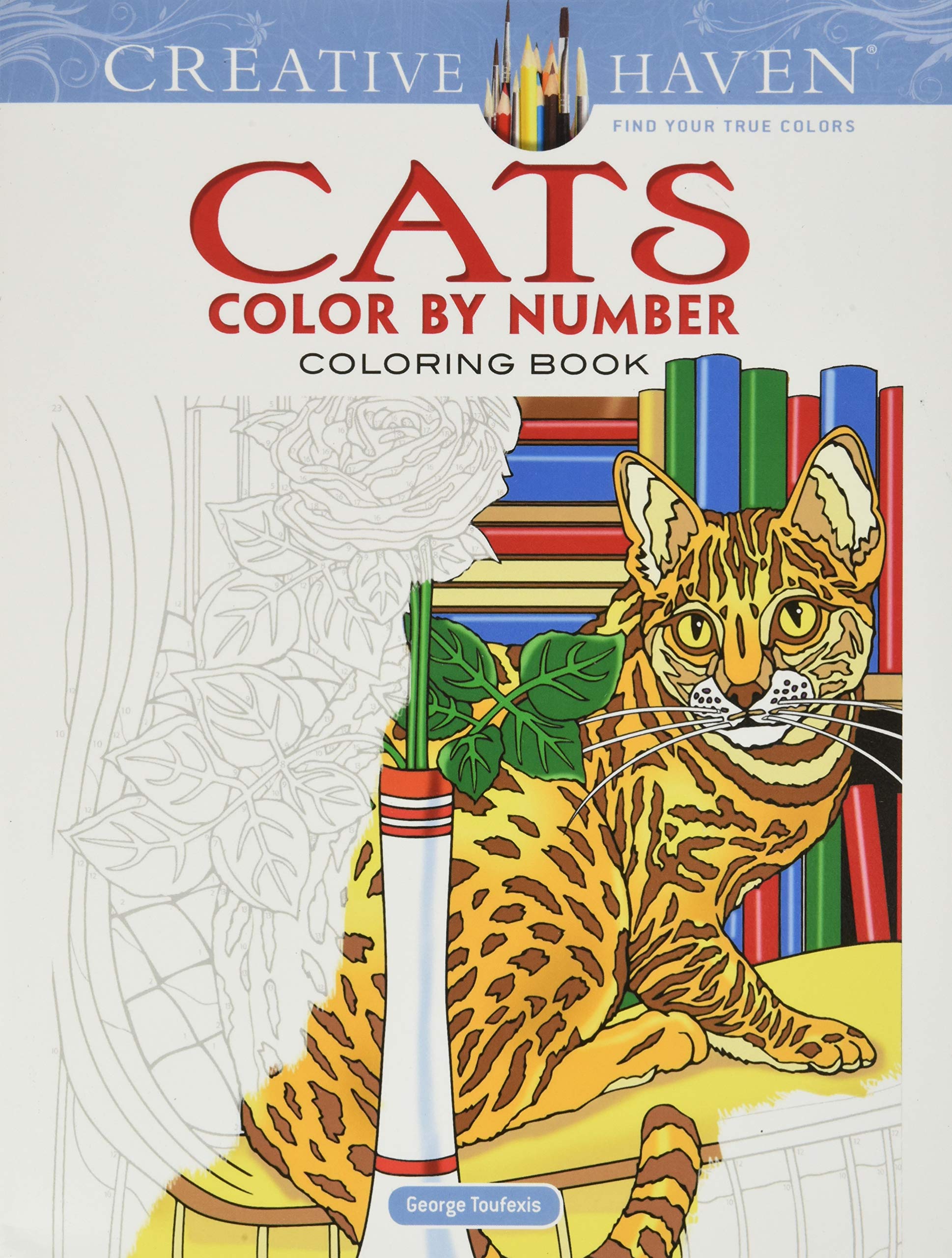 Cats Color by Number Coloring Book
