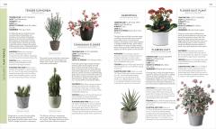 Practical House Plant Book