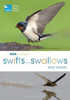Coperta cărții RSPB Spotlight Swifts and Swallows