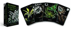 Flowers of the Night Oracle