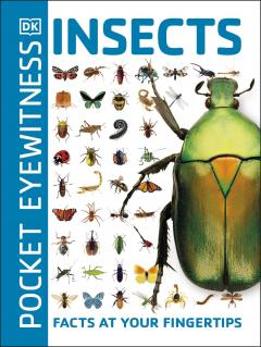 Insects