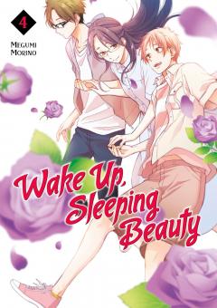 Wake Up, Sleeping Beauty - Volume 4