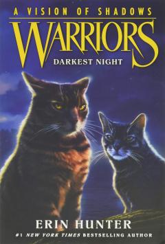 Warriors: A Vision of Shadows, Vol. 4: Darkest Night 