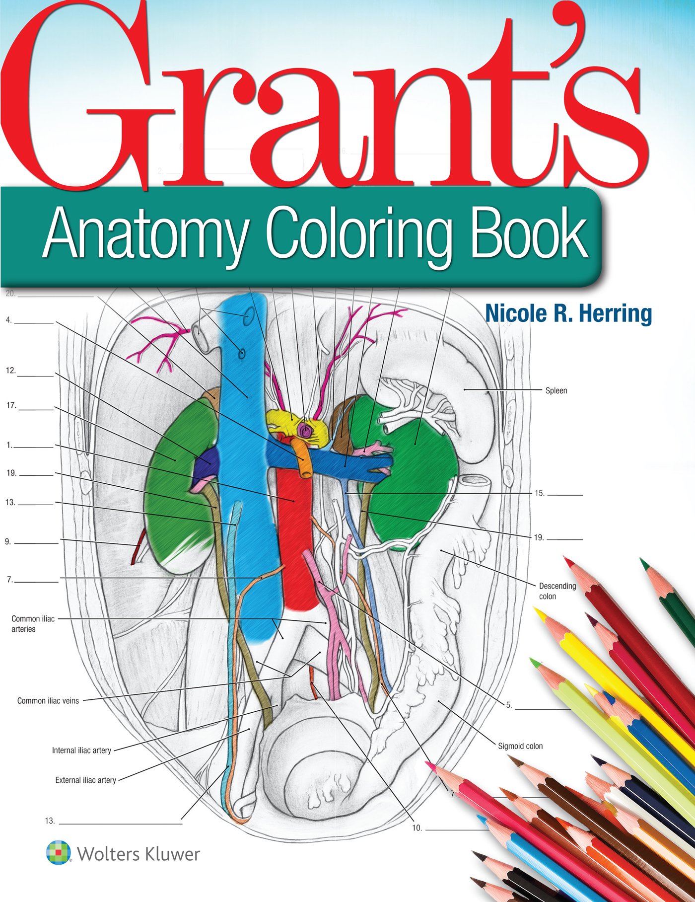 Grant&#039;s Anatomy Coloring Book